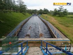 Kondisi Siring Irigasi Manjuto Kiri Kering, Petani XIV Koto Mengeluhkan Kesulitan Bersawah