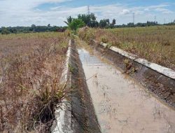 KECEWA! Petani Desa Arah Tiga Kecamatan Lubuk Pinang Sebut Pekerjaan BWSS Sumatera VII Bengkulu Asal-Asalan dan Tidak Tepat Sasaran