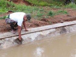 Proyek Irigasi BWSS VII Mukomuko Belum Optimal, Petani Khawatir Ganggu Musim Tanam