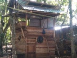 Ketahanan Pangan Desa Dusun Curup Ayam dan Ikan Tidak Diketahui dimana Keberadaannya??